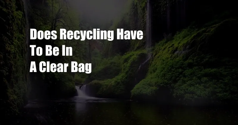 Does Recycling Have To Be In A Clear Bag