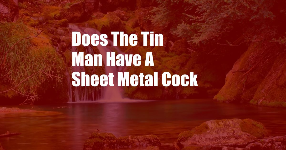 Does The Tin Man Have A Sheet Metal Cock