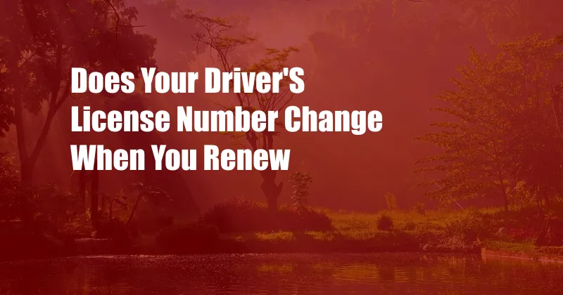 Does Your Driver'S License Number Change When You Renew