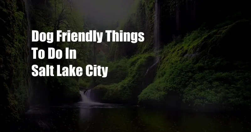 Dog Friendly Things To Do In Salt Lake City