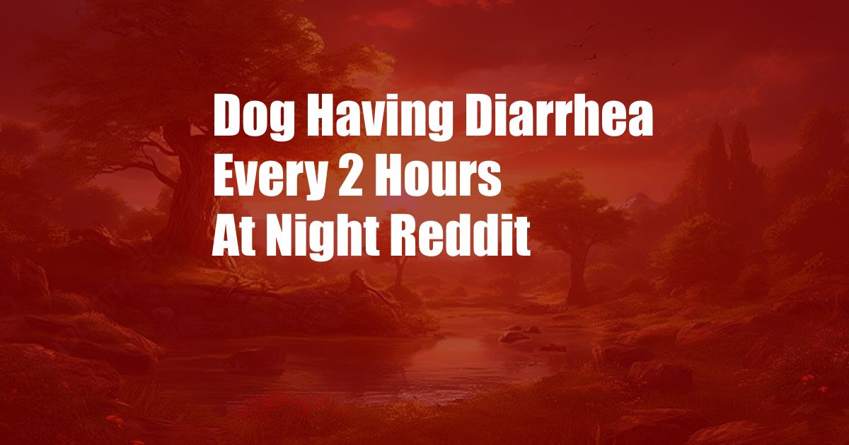 Dog Having Diarrhea Every 2 Hours At Night Reddit