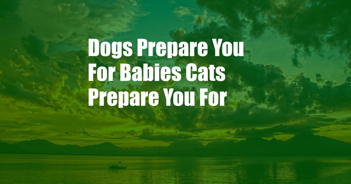 Dogs Prepare You For Babies Cats Prepare You For