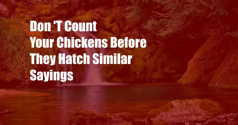 Don 'T Count Your Chickens Before They Hatch Similar Sayings