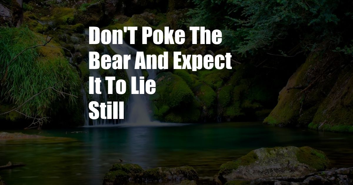 Don'T Poke The Bear And Expect It To Lie Still