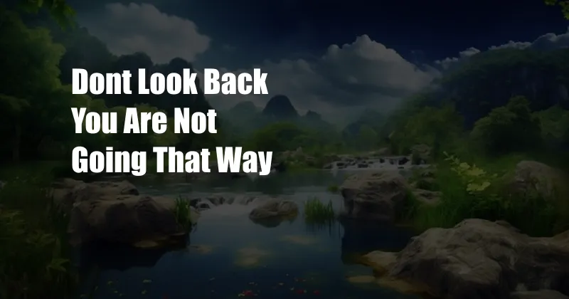 Dont Look Back You Are Not Going That Way