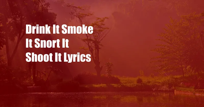 Drink It Smoke It Snort It Shoot It Lyrics