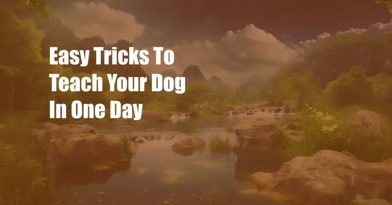 Easy Tricks To Teach Your Dog In One Day