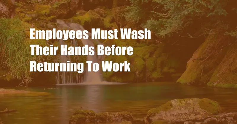 Employees Must Wash Their Hands Before Returning To Work