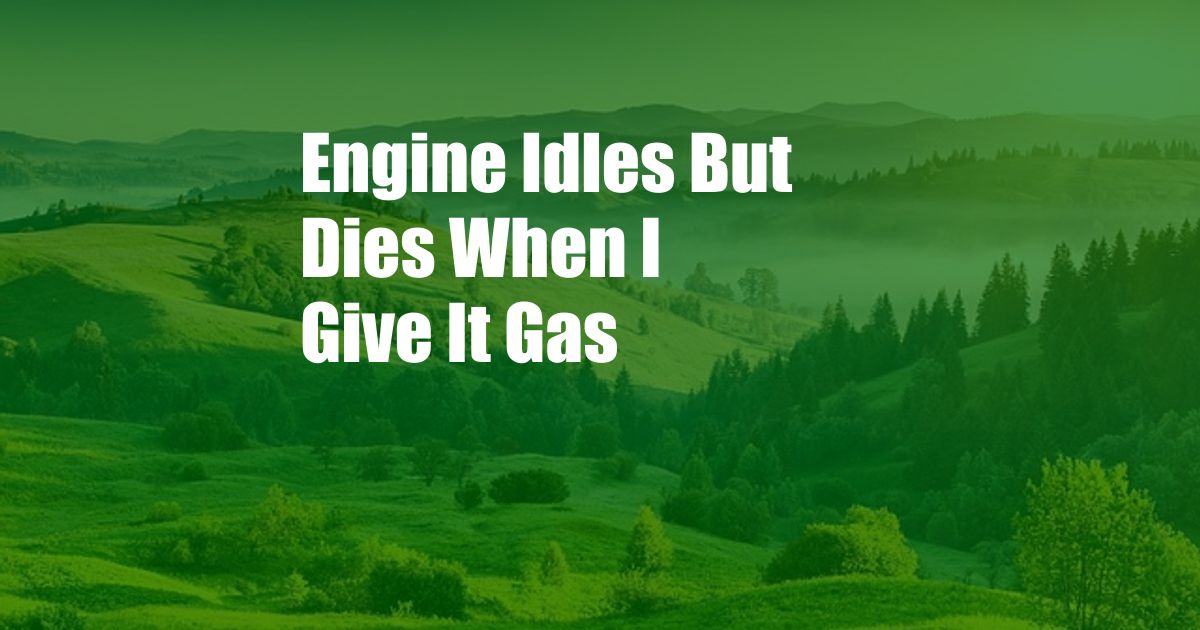 Engine Idles But Dies When I Give It Gas