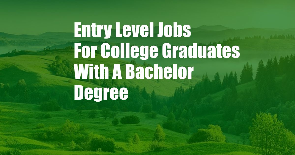 Entry Level Jobs For College Graduates With A Bachelor Degree