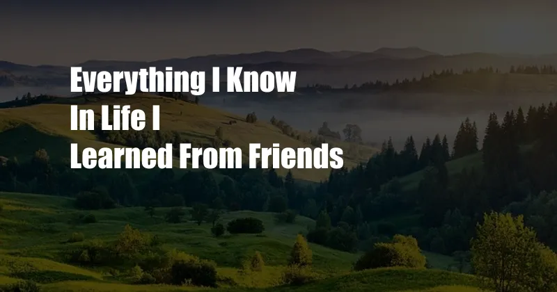 Everything I Know In Life I Learned From Friends