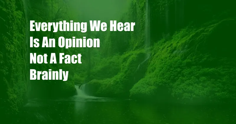 Everything We Hear Is An Opinion Not A Fact Brainly