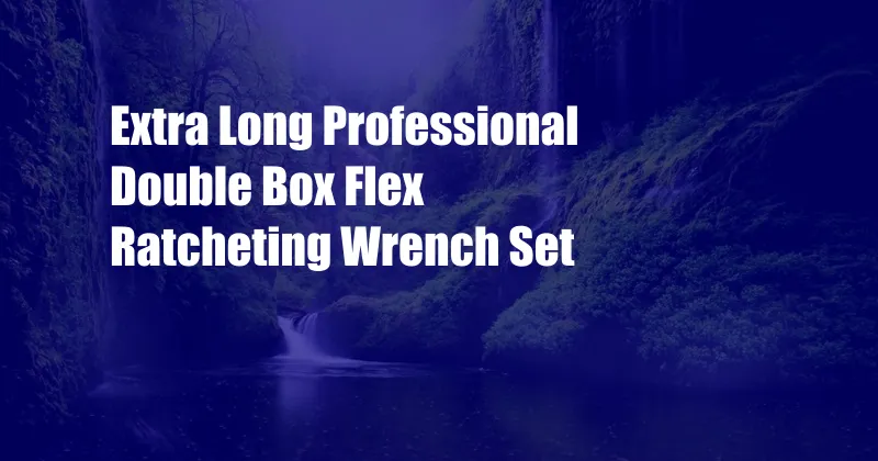 Extra Long Professional Double Box Flex Ratcheting Wrench Set