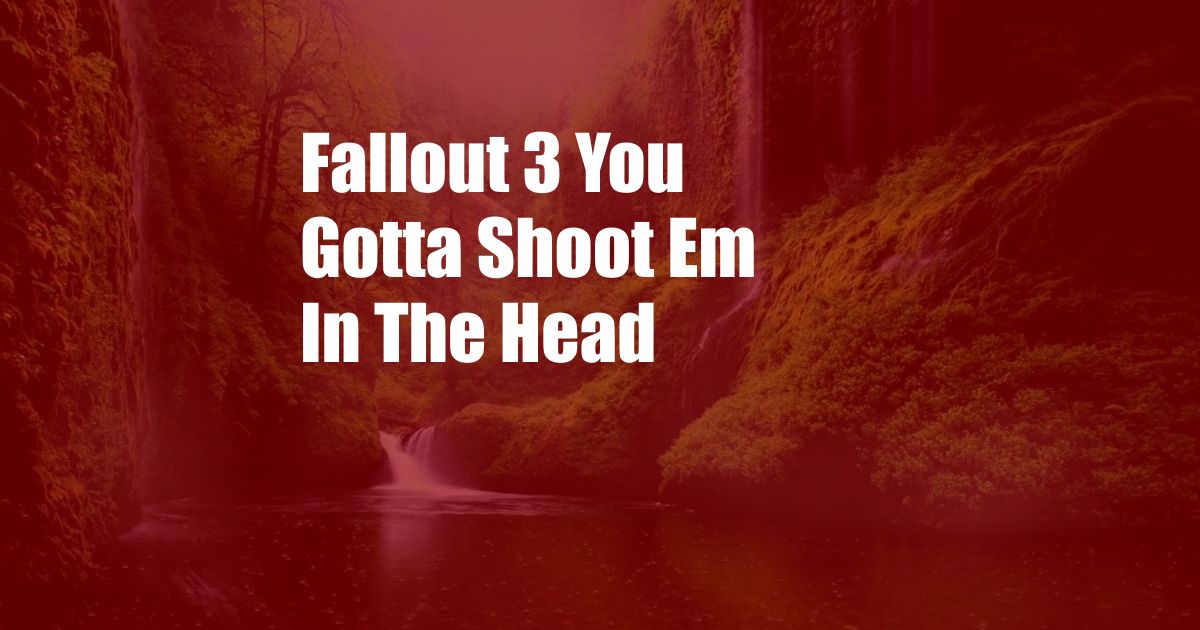 Fallout 3 You Gotta Shoot Em In The Head