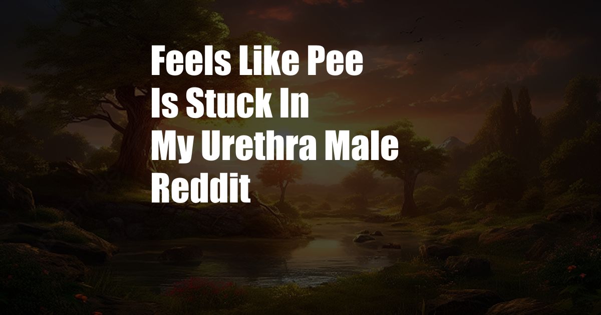 Feels Like Pee Is Stuck In My Urethra Male Reddit