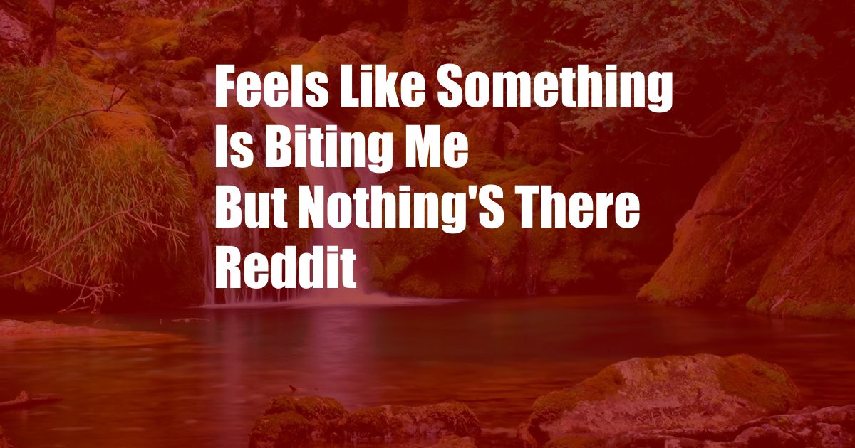Feels Like Something Is Biting Me But Nothing'S There Reddit