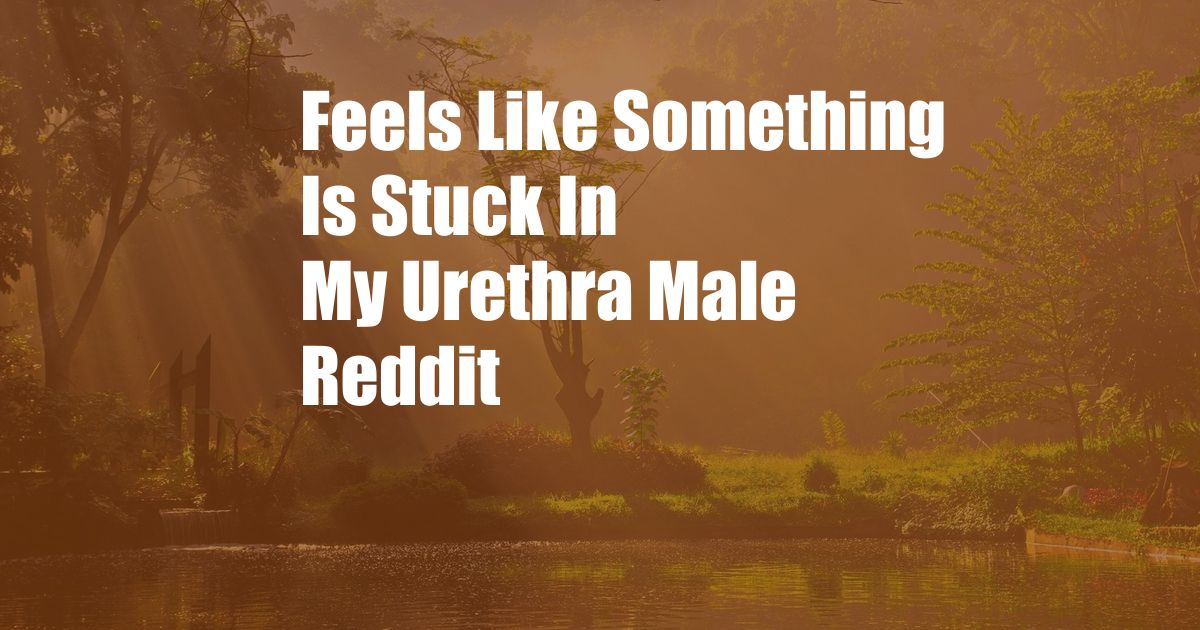 Feels Like Something Is Stuck In My Urethra Male Reddit