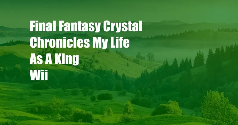 Final Fantasy Crystal Chronicles My Life As A King Wii