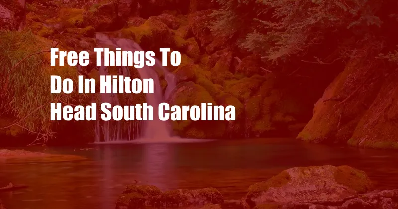 Free Things To Do In Hilton Head South Carolina