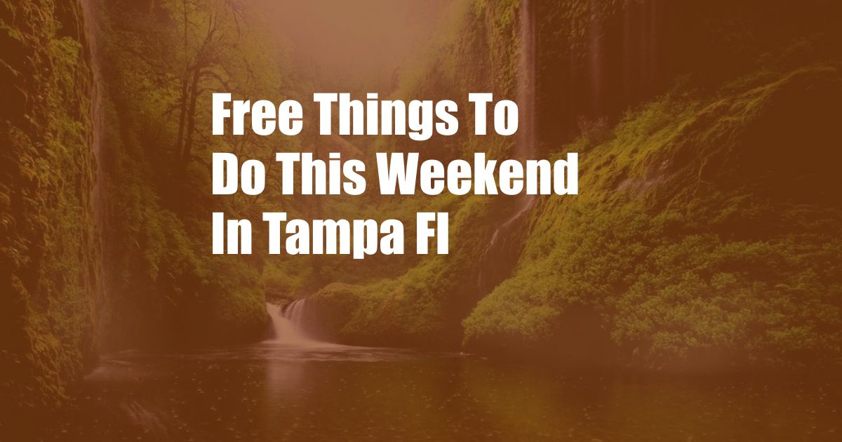 Free Things To Do This Weekend In Tampa Fl