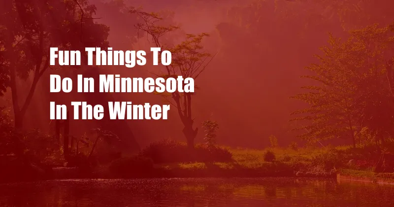 Fun Things To Do In Minnesota In The Winter