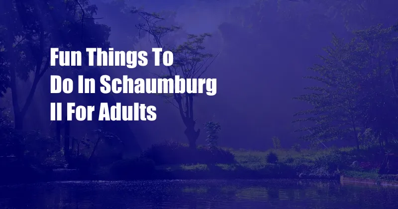 Fun Things To Do In Schaumburg Il For Adults