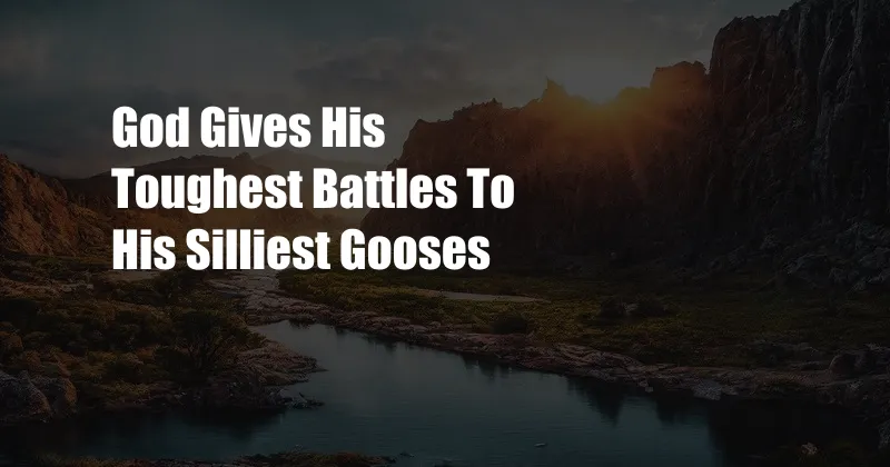 God Gives His Toughest Battles To His Silliest Gooses