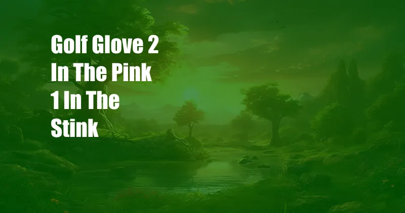 Golf Glove 2 In The Pink 1 In The Stink