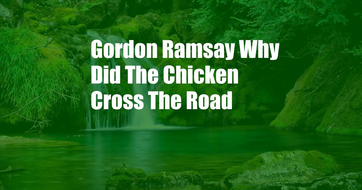 Gordon Ramsay Why Did The Chicken Cross The Road