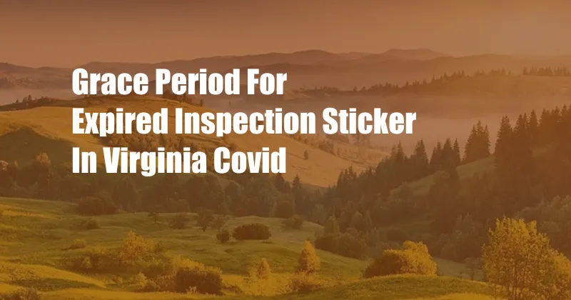 Grace Period For Expired Inspection Sticker In Virginia Covid
