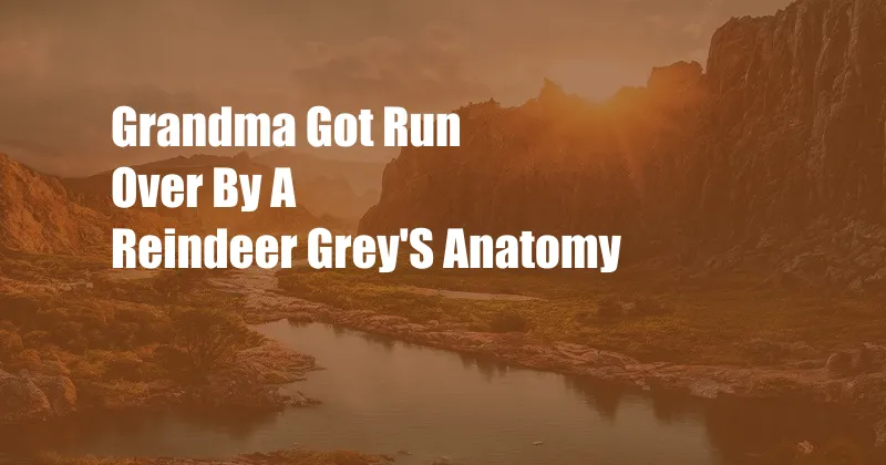 Grandma Got Run Over By A Reindeer Grey'S Anatomy