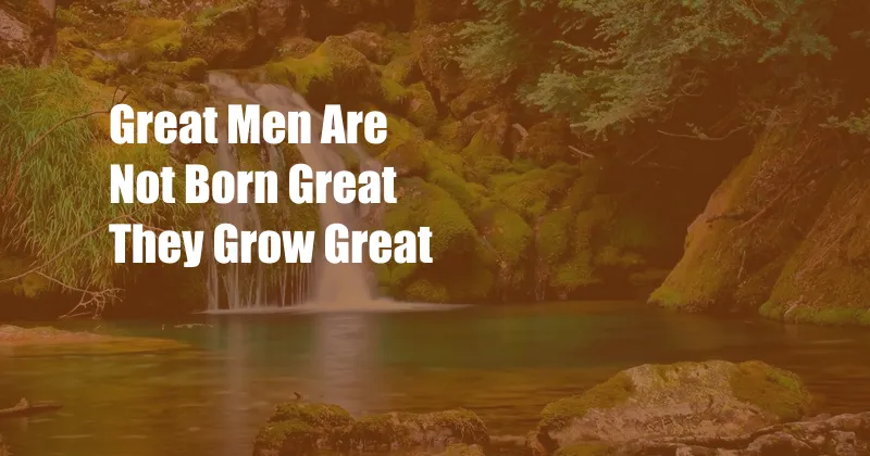 Great Men Are Not Born Great They Grow Great