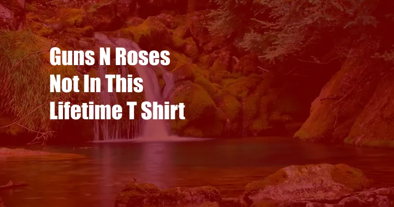 Guns N Roses Not In This Lifetime T Shirt