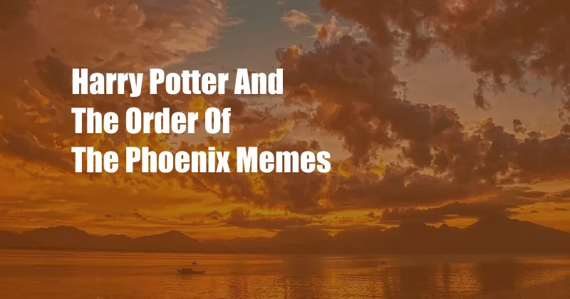 Harry Potter And The Order Of The Phoenix Memes