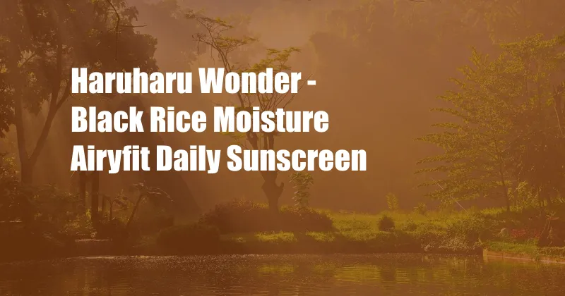 Haruharu Wonder - Black Rice Moisture Airyfit Daily Sunscreen