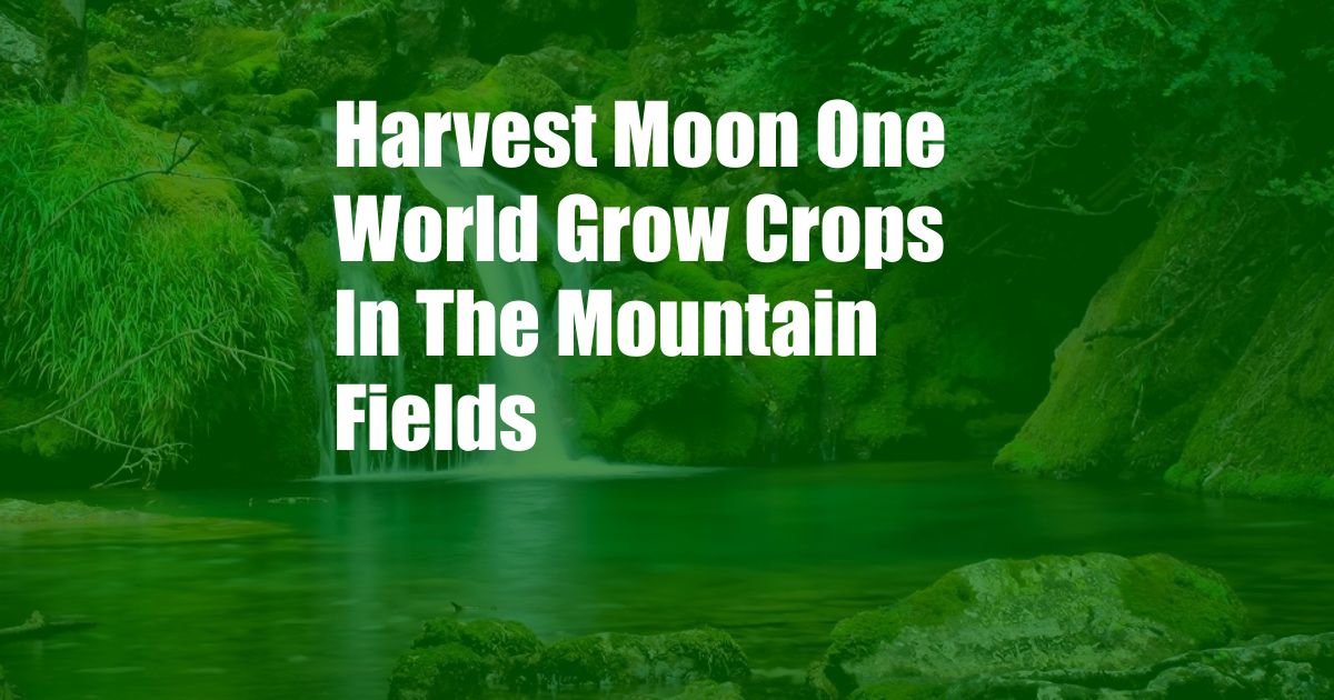 Harvest Moon One World Grow Crops In The Mountain Fields