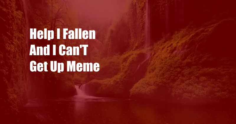 Help I Fallen And I Can'T Get Up Meme