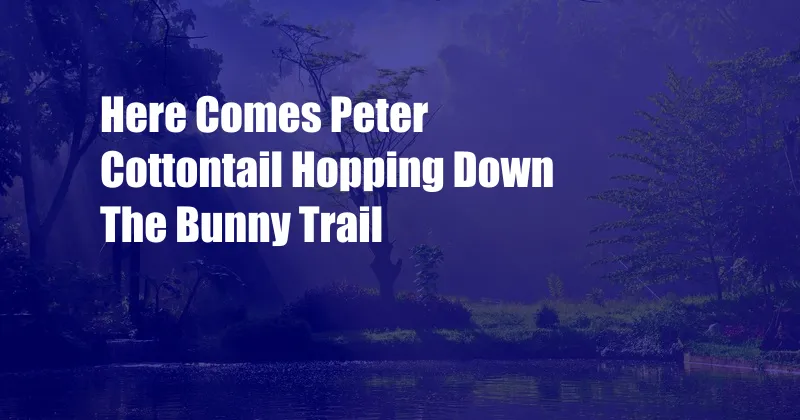 Here Comes Peter Cottontail Hopping Down The Bunny Trail