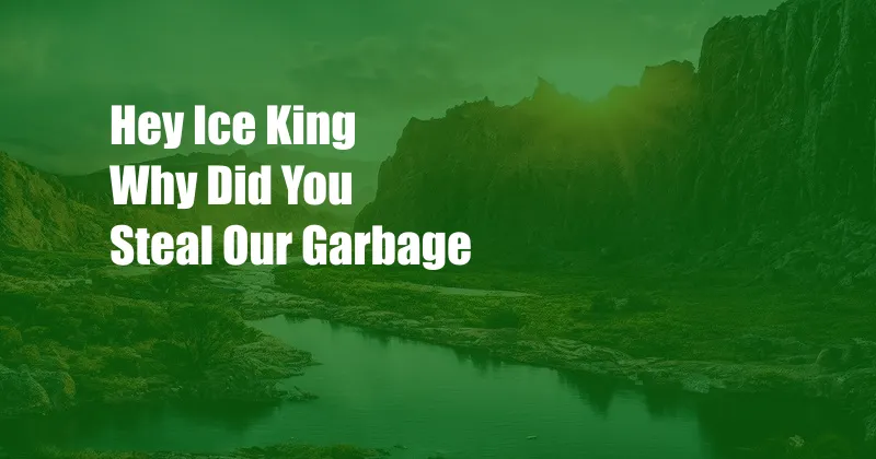 Hey Ice King Why Did You Steal Our Garbage