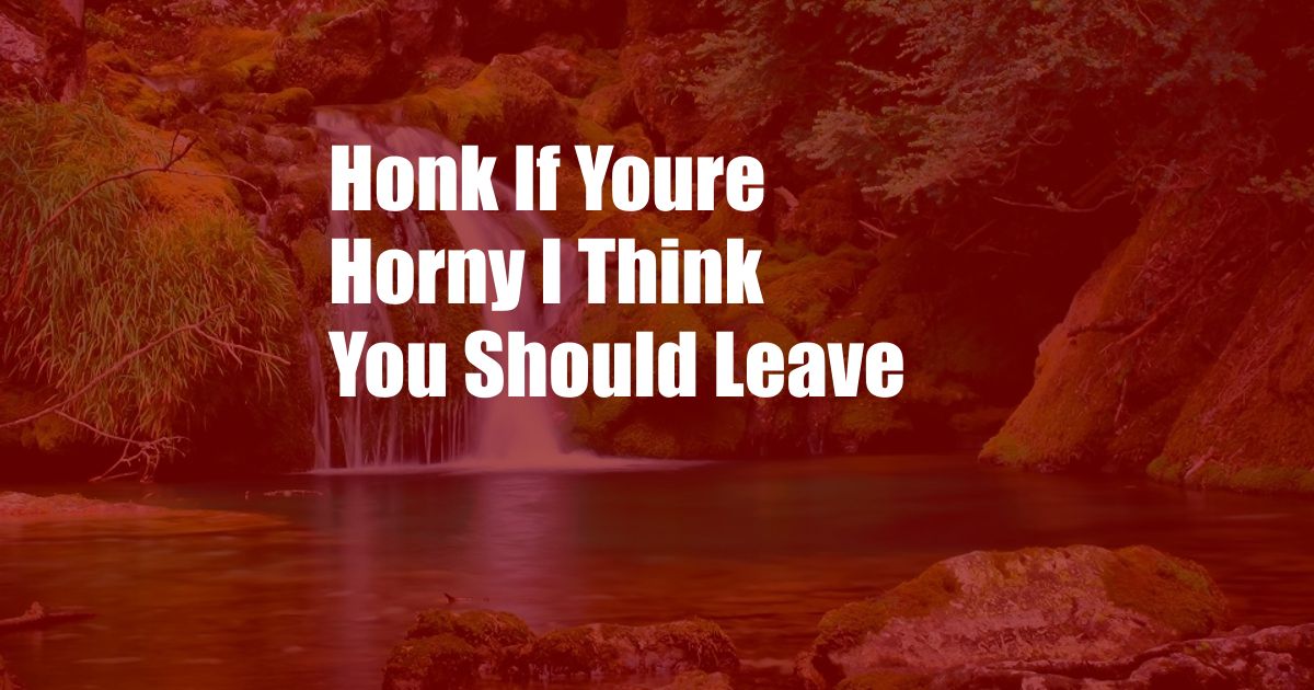 Honk If Youre Horny I Think You Should Leave