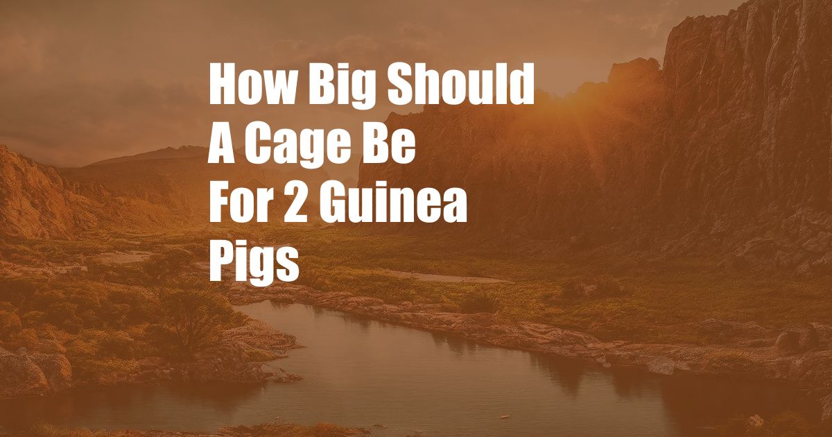 How Big Should A Cage Be For 2 Guinea Pigs