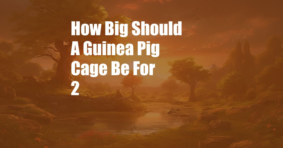 How Big Should A Guinea Pig Cage Be For 2