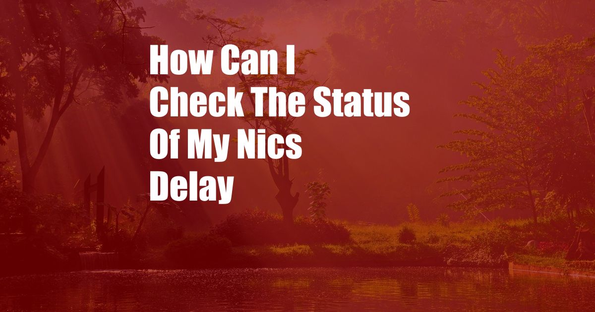 How Can I Check The Status Of My Nics Delay