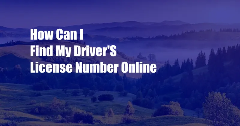 How Can I Find My Driver'S License Number Online