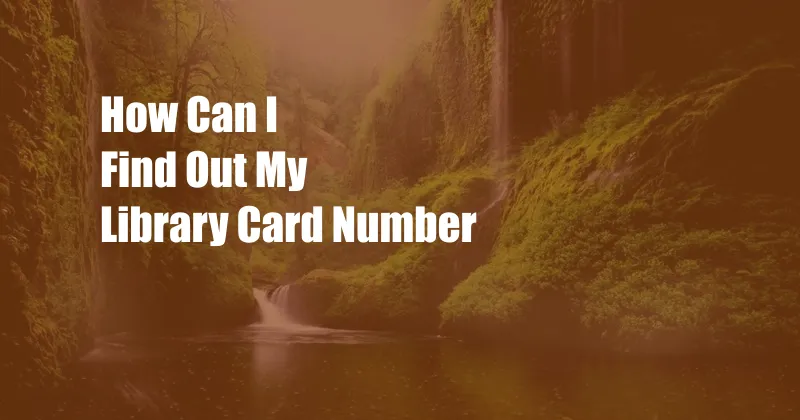 How Can I Find Out My Library Card Number