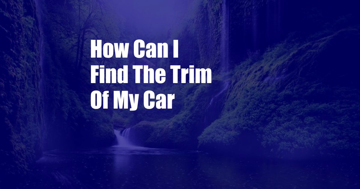 How Can I Find The Trim Of My Car