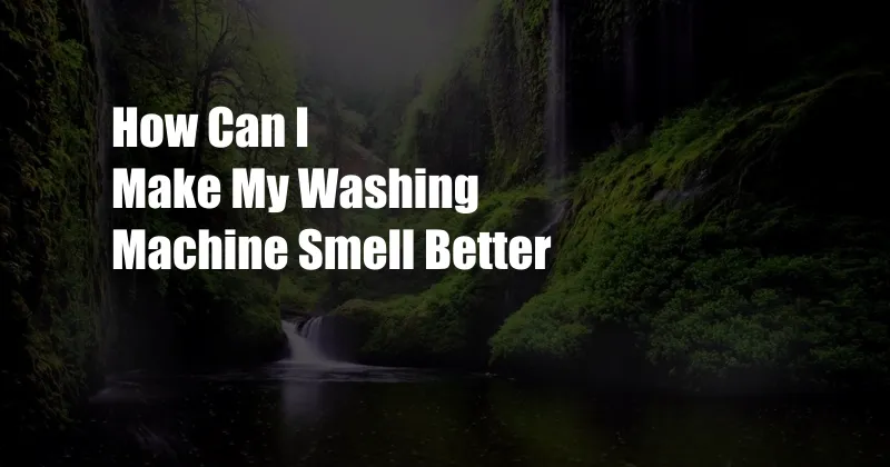 How Can I Make My Washing Machine Smell Better