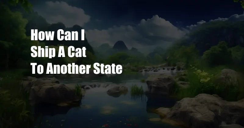 How Can I Ship A Cat To Another State