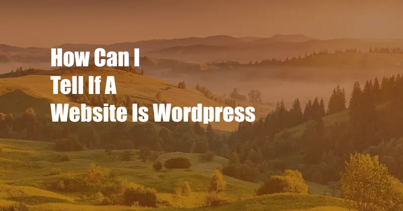 How Can I Tell If A Website Is WordPress