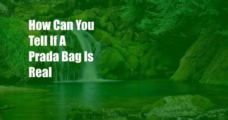 How Can You Tell If A Prada Bag Is Real